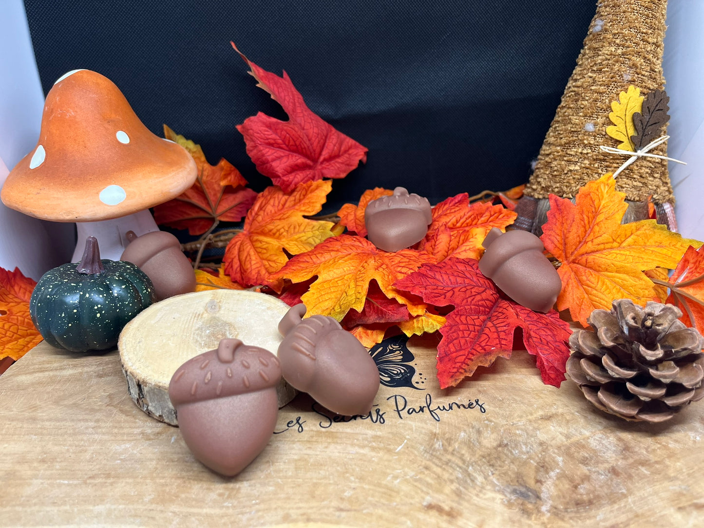 Fondant Gland • 20gr • Sous bois